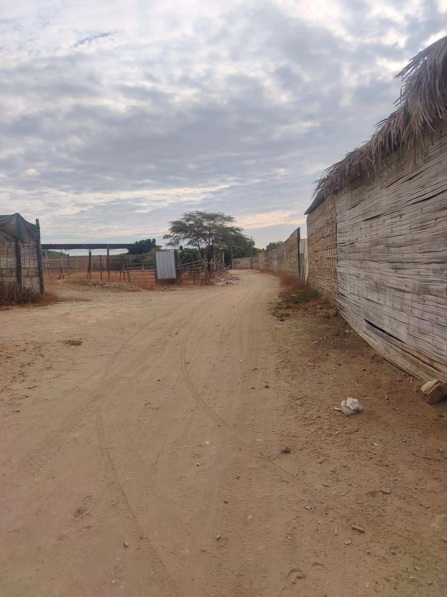 Terreno Para Proyecto Inmobiliario, Hospedaje de Campo 4