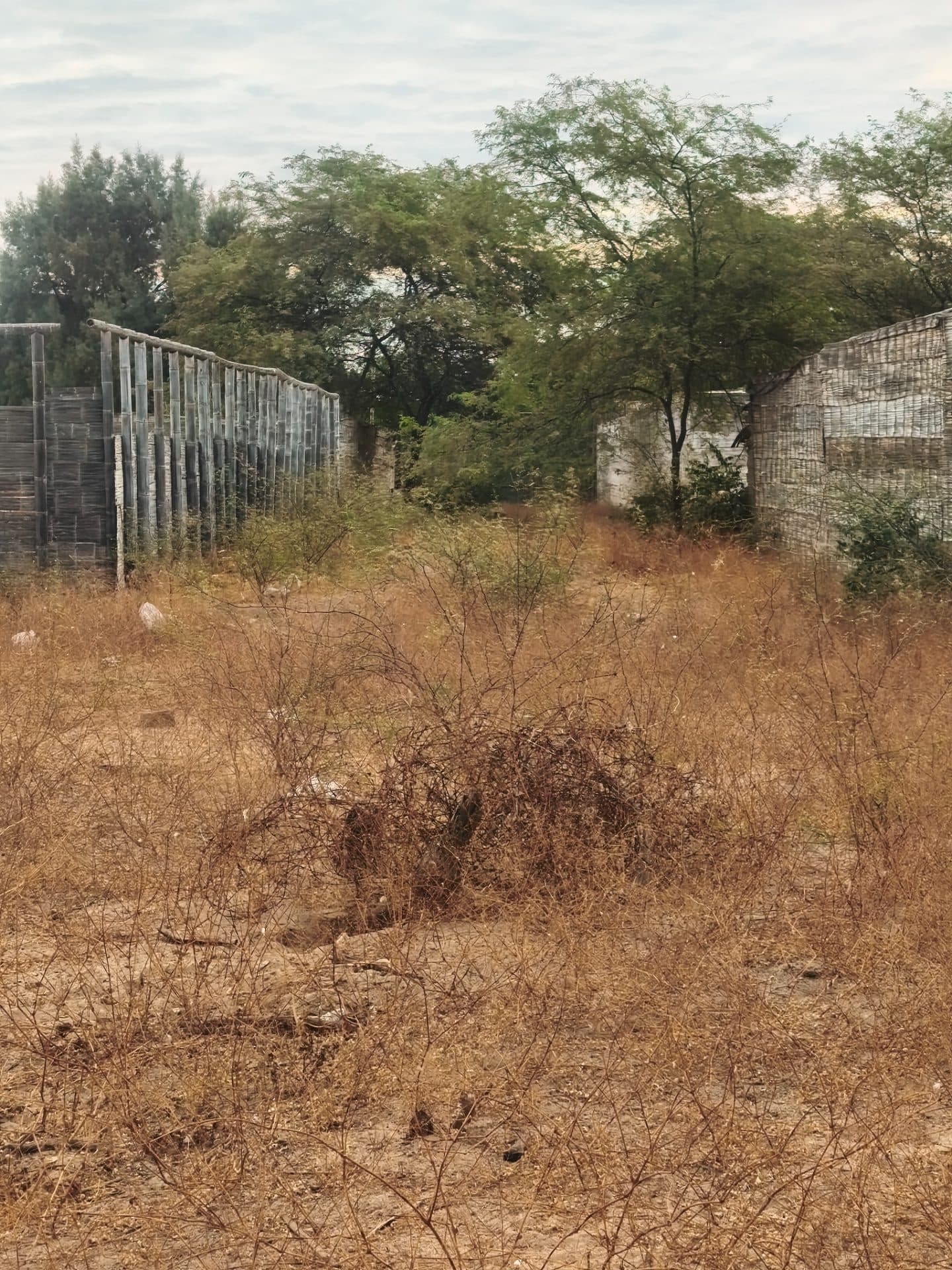 Terreno Para Proyecto Inmobiliario, Hospedaje de Campo