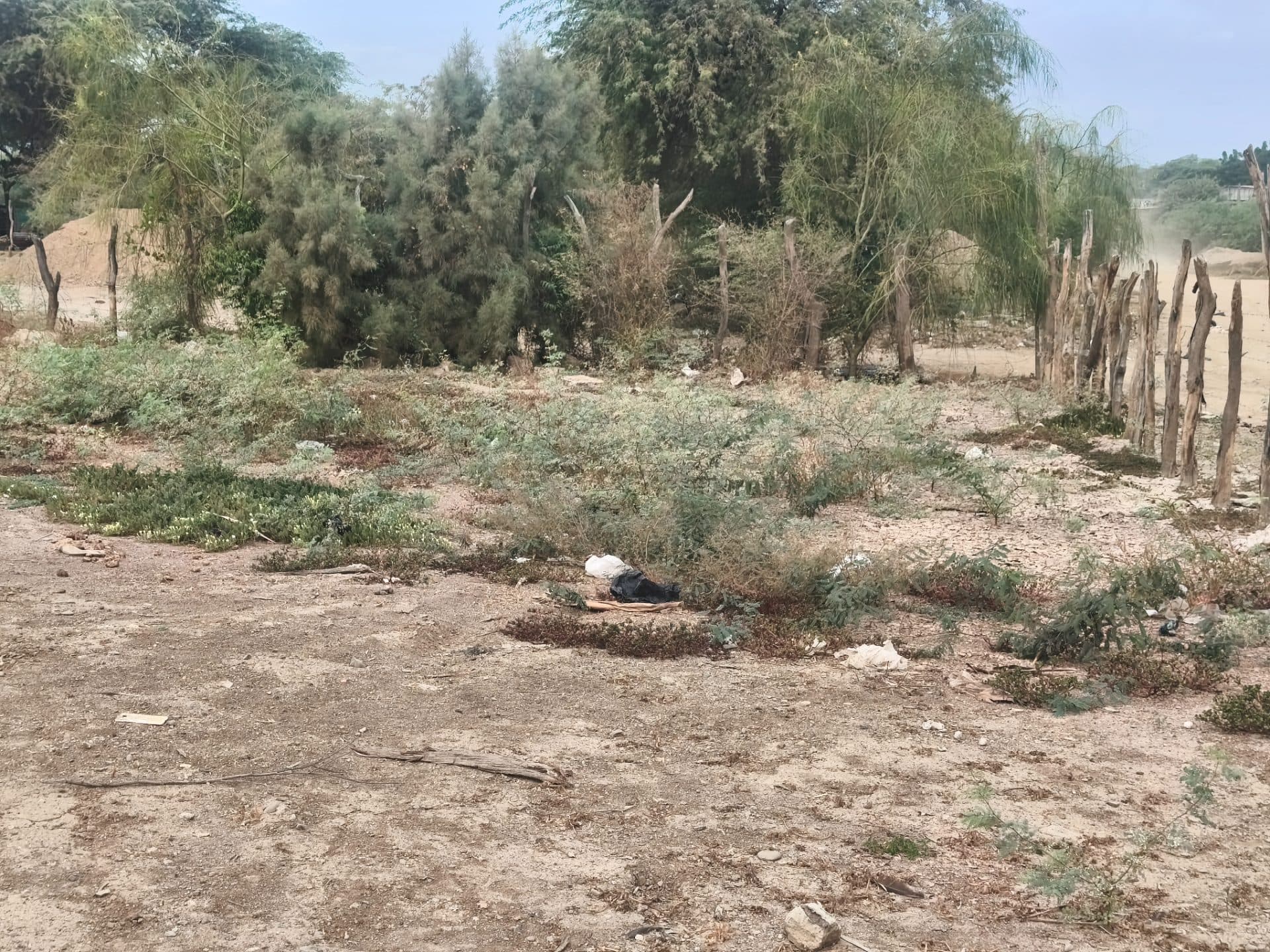 Terreno Para Proyecto Inmobiliario, Hospedaje de Campo 3